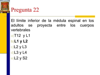 Pregunta 22
El límite inferior de la médula espinal en los
adultos se proyecta entre los cuerpos
vertebrales
a)T12 y L1
b)L1 y L2
c)L2 y L3
d)L3 y L4
e)L2 y S2

 