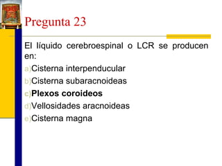 Pregunta 23
El líquido cerebroespinal o LCR se producen
en:
a)Cisterna interpenducular
b)Cisterna subaracnoideas
c)Plexos coroideos
d)Vellosidades aracnoideas
e)Cisterna magna

 