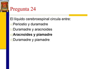 Pregunta 24
El líquido cerebroespinal circula entre:
a)Periostio y duramadre
b)Duramadre y aracnoides
c)Aracnoides y piamadre
d)Duramadre y piamadre

 