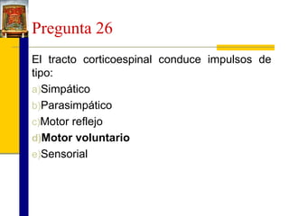 Pregunta 26
El tracto corticoespinal conduce impulsos de
tipo:
a)Simpático
b)Parasimpático
c)Motor reflejo
d)Motor voluntario
e)Sensorial

 