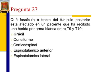 Pregunta 27
Qué fascículo o tracto del funículo posterior
está afectado en un paciente que ha recibido
una herida por arma blanca entre T9 y T10:
a)Grácil
b)Cuneiforme
c)Corticoespinal
d)Espinotalámico anterior
e)Espinotalámica lateral

 
