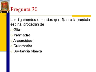 Pregunta 30
Los ligamentos dentados que fijan a la médula
espinal proceden de
a)Glia
b)Piamadre
c)Aracnoides
d)Duramadre
e)Sustancia blanca

 