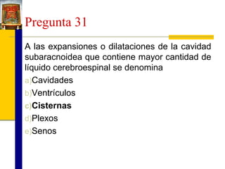 Pregunta 31
A las expansiones o dilataciones de la cavidad
subaracnoidea que contiene mayor cantidad de
líquido cerebroespinal se denomina
a)Cavidades
b)Ventrículos
c)Cisternas
d)Plexos
e)Senos

 