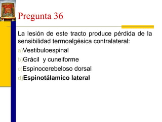 Pregunta 36
La lesión de este tracto produce pérdida de la
sensibilidad termoalgésica contralateral:
a)Vestibuloespinal
b)Grácil y cuneiforme
c)Espinocerebeloso dorsal
d)Espinotálamico lateral

 