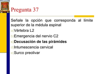 Pregunta 37
Señale la opción que corresponda al límite
superior de la médula espinal
a)Vértebra L2
b)Emergencia del nervio C2
c)Decusación de las pirámides
d)Intumescencia cervical
e)Surco preolivar

 