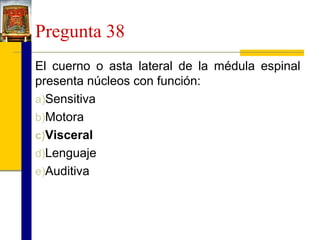 Pregunta 38
El cuerno o asta lateral de la médula espinal
presenta núcleos con función:
a)Sensitiva
b)Motora
c)Visceral
d)Lenguaje
e)Auditiva

 