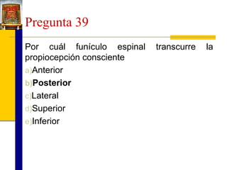 Pregunta 39
Por cuál funículo espinal
propiocepción consciente
a)Anterior
b)Posterior
c)Lateral
d)Superior
e)Inferior

transcurre

la

 