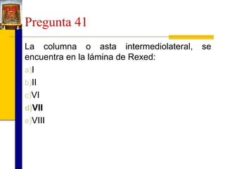 Pregunta 41
La columna o asta intermediolateral,
encuentra en la lámina de Rexed:
a)I
b)II
c)VI
d)VII
e)VIII

se

 