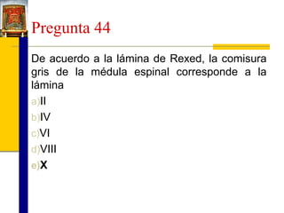Pregunta 44
De acuerdo a la lámina de Rexed, la comisura
gris de la médula espinal corresponde a la
lámina
a)II
b)IV
c)VI
d)VIII
e)X

 