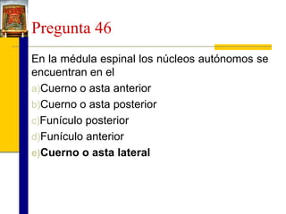 Pregunta 46
En la médula espinal los núcleos autónomos se
encuentran en el
a)Cuerno o asta anterior
b)Cuerno o asta posterior
c)Funículo posterior
d)Funículo anterior
e)Cuerno o asta lateral

 