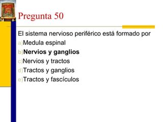 Pregunta 50
El sistema nervioso periférico está formado por
a)Medula espinal
b)Nervios y ganglios
c)Nervios y tractos
d)Tractos y ganglios
e)Tractos y fascículos

 