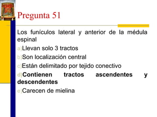 Pregunta 51
Los funículos lateral y anterior de la médula
espinal
a)Llevan solo 3 tractos
b)Son localización central
c)Están delimitado por tejido conectivo
d)Contienen
tractos
ascendentes
y
descendentes
e)Carecen de mielina

 