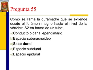 Pregunta 55
Como se llama la duramadre que se extiende
desde el forámen magno hasta el nivel de la
vértebra S2 en forma de un tubo:
a)Conducto o canal ependimario
b)Espacio subaracnoideo
c)Saco dural
d)Espacio subdural
e)Espacio epidural

 