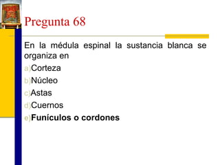 Pregunta 68
En la médula espinal la sustancia blanca se
organiza en
a)Corteza
b)Núcleo
c)Astas
d)Cuernos
e)Funículos o cordones

 
