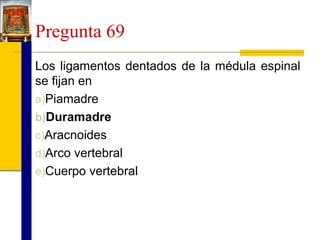 Pregunta 69
Los ligamentos dentados de la médula espinal
se fijan en
a)Piamadre
b)Duramadre
c)Aracnoides
d)Arco vertebral
e)Cuerpo vertebral

 