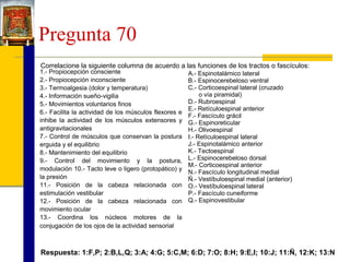 Pregunta 70
Correlacione la siguiente columna de acuerdo a las funciones de los tractos o fascículos:

1.- Propiocepción consciente
2.- Propiocepción inconsciente
3.- Termoalgesia (dolor y temperatura)
4.- Información sueño-vigilia
5.- Movimientos voluntarios finos
6.- Facilita la actividad de los músculos flexores e
inhibe la actividad de los músculos extensores y
antigravitacionales
7.- Control de músculos que conservan la postura
erguida y el equilibrio
8.- Mantenimiento del equilibrio
9.- Control del movimiento y la postura,
modulación 10.- Tacto leve o ligero (protopático) y
la presión
11.- Posición de la cabeza relacionada con
estimulación vestibular
12.- Posición de la cabeza relacionada con
movimiento ocular
13.- Coordina los núcleos motores de la
conjugación de los ojos de la actividad sensorial

A.- Espinotalámico lateral
B.- Espinocerebeloso ventral
C.- Corticoespinal lateral (cruzado
o vía piramidal)
D.- Rubroespinal
E.- Retículoespinal anterior
F.- Fascículo grácil
G.- Espinoreticular
H.- Olivoespinal
I.- Retículoespinal lateral
J.- Espinotalámico anterior
K.- Tectoespinal
L.- Espinocerebeloso dorsal
M.- Corticoespinal anterior
N.- Fascículo longitudinal medial
Ñ.- Vestíbuloespinal medial (anterior)
O.- Vestíbuloespinal lateral
P.- Fascículo cuneiforme
Q.- Espinovestibular

Respuesta: 1:F,P; 2:B,L,Q; 3:A; 4:G; 5:C,M; 6:D; 7:O; 8:H; 9:E,I; 10:J; 11:Ñ, 12:K; 13:N

 