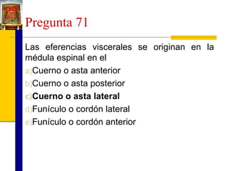 Pregunta 71
Las eferencias viscerales se originan en la
médula espinal en el
a)Cuerno o asta anterior
b)Cuerno o asta posterior
c)Cuerno o asta lateral
d)Funículo o cordón lateral
e)Funículo o cordón anterior

 