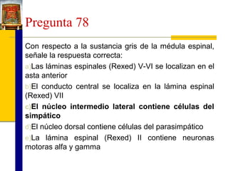 Pregunta 78
Con respecto a la sustancia gris de la médula espinal,
señale la respuesta correcta:
a)Las láminas espinales (Rexed) V-VI se localizan en el
asta anterior
b)El conducto central se localiza en la lámina espinal
(Rexed) VII
c)El núcleo intermedio lateral contiene células del
simpático
d)El núcleo dorsal contiene células del parasimpático
e)La lámina espinal (Rexed) II contiene neuronas
motoras alfa y gamma

 