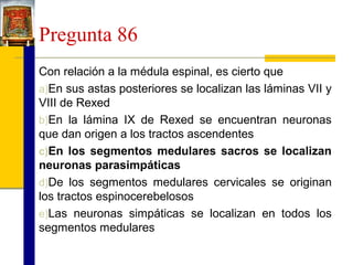 Pregunta 86
Con relación a la médula espinal, es cierto que
a)En sus astas posteriores se localizan las láminas VII y
VIII de Rexed
b)En la lámina IX de Rexed se encuentran neuronas
que dan origen a los tractos ascendentes
c)En los segmentos medulares sacros se localizan
neuronas parasimpáticas
d)De los segmentos medulares cervicales se originan
los tractos espinocerebelosos
e)Las neuronas simpáticas se localizan en todos los
segmentos medulares

 