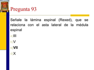 Pregunta 93
Señale la lámina espinal (Rexed), que se
relaciona con el asta lateral de la médula
espinal
a)III
b)V
c)VII
d)X

 