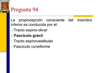 Pregunta 94
La propiocepción consciente del miembro
inferior es conducida por el:
a)Tracto espino-olivar
b)Fascículo grácil
c)Tracto espinovestibular
d)Fascículo cuneiforme

 