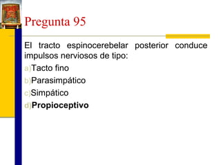 Pregunta 95
El tracto espinocerebelar posterior conduce
impulsos nerviosos de tipo:
a)Tacto fino
b)Parasimpático
c)Simpático
d)Propioceptivo

 