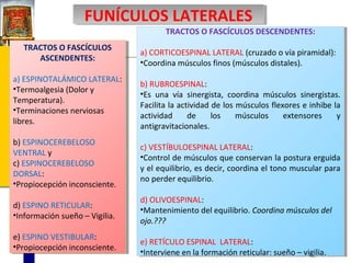 FUNÍCULOS LATERALES
FUNÍCULOS LATERALES

TRACTOS O FASCÍCULOS DESCENDENTES:
TRACTOS O FASCÍCULOS DESCENDENTES:

TRACTOS O FASCÍCULOS
TRACTOS O FASCÍCULOS
ASCENDENTES:
ASCENDENTES:
a) ESPINOTALÁMICO LATERAL:
a) ESPINOTALÁMICO LATERAL:
••Termoalgesia(Dolor yy
Termoalgesia (Dolor
Temperatura).
Temperatura).
••Terminacionesnerviosas
Terminaciones nerviosas
libres.
libres.

a) CORTICOESPINAL LATERAL (cruzado o vía piramidal):
a) CORTICOESPINAL LATERAL (cruzado o vía piramidal):
••Coordinamúsculos finos (músculos distales).
Coordina músculos finos (músculos distales).
b) RUBROESPINAL:
b) RUBROESPINAL:
••Es una vía sinergista, coordina músculos sinergistas.
Es una vía sinergista, coordina músculos sinergistas.
Facilita la actividad de los músculos flexores eeinhibe la
Facilita la actividad de los músculos flexores inhibe la
actividad
actividad de
de los
los músculos
músculos extensores
extensores yy
antigravitacionales.
antigravitacionales.

b) ESPINOCEREBELOSO
b) ESPINOCEREBELOSO
VENTRAL yy
VENTRAL
c) ESPINOCEREBELOSO
c) ESPINOCEREBELOSO
DORSAL:
DORSAL:
••Propiocepcióninconsciente.
Propiocepción inconsciente.

c) VESTÍBULOESPINAL LATERAL:
c) VESTÍBULOESPINAL LATERAL:
••Controlde músculos que conservan la postura erguida
Control de músculos que conservan la postura erguida
yyel equilibrio, es decir, coordina el tono muscular para
el equilibrio, es decir, coordina el tono muscular para
no perder equilibrio.
no perder equilibrio.

d) ESPINO RETICULAR:
d) ESPINO RETICULAR:
••Informaciónsueño ––Vigilia.
Información sueño Vigilia.

d) OLIVOESPINAL:
d) OLIVOESPINAL:
••Mantenimientodel equilibrio. Coordina músculos del
Mantenimiento del equilibrio. Coordina músculos del
ojo.???
ojo.???

e) ESPINO VESTIBULAR:
e) ESPINO VESTIBULAR:
••Propiocepcióninconsciente.
Propiocepción inconsciente.

e) RETÍCULO ESPINAL LATERAL:
e) RETÍCULO ESPINAL LATERAL:
••Intervieneen la formación reticular: sueño ––vigilia.
Interviene en la formación reticular: sueño vigilia.

 