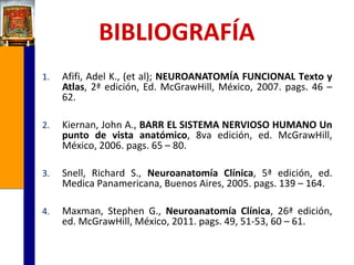 BIBLIOGRAFÍA
1.

Afifi, Adel K., (et al); NEUROANATOMÍA FUNCIONAL Texto y
Atlas, 2ª edición, Ed. McGrawHill, México, 2007. pags. 46 –
62.

2.

Kiernan, John A., BARR EL SISTEMA NERVIOSO HUMANO Un
punto de vista anatómico, 8va edición, ed. McGrawHill,
México, 2006. pags. 65 – 80.

3.

Snell, Richard S., Neuroanatomía Clínica, 5ª edición, ed.
Medica Panamericana, Buenos Aires, 2005. pags. 139 – 164.

4.

Maxman, Stephen G., Neuroanatomía Clínica, 26ª edición,
ed. McGrawHill, México, 2011. pags. 49, 51-53, 60 – 61.

 