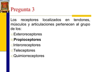 Pregunta 3
Los receptores localizados en tendones,
músculos y articulaciones pertenecen al grupo
de los:
a)Exteroreceptores
b)Propioceptores
c)Interoreceptores
d)Teleceptores
e)Quimiorreceptores

 