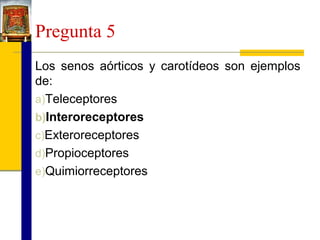 Pregunta 5
Los senos aórticos y carotídeos son ejemplos
de:
a)Teleceptores
b)Interoreceptores
c)Exteroreceptores
d)Propioceptores
e)Quimiorreceptores

 