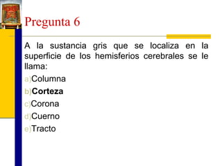 Pregunta 6
A la sustancia gris que se localiza en la
superficie de los hemisferios cerebrales se le
llama:
a)Columna
b)Corteza
c)Corona
d)Cuerno
e)Tracto

 