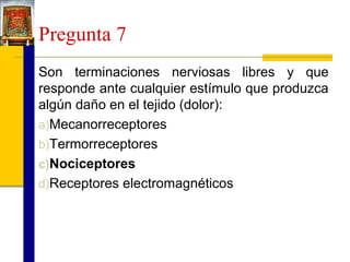 Pregunta 7
Son terminaciones nerviosas libres y que
responde ante cualquier estímulo que produzca
algún daño en el tejido (dolor):
a)Mecanorreceptores
b)Termorreceptores
c)Nociceptores
d)Receptores electromagnéticos

 
