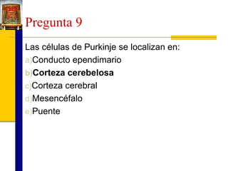 Pregunta 9
Las células de Purkinje se localizan en:
a)Conducto ependimario
b)Corteza cerebelosa
c)Corteza cerebral
d)Mesencéfalo
e)Puente

 