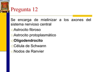 Pregunta 12
Se encarga de mielinizar a los axones del
sistema nervioso central
a)Astrocito fibroso
b)Astrocito protoplasmático
c)Oligodendrocito
d)Célula de Schwann
e)Nodos de Ranvier

 