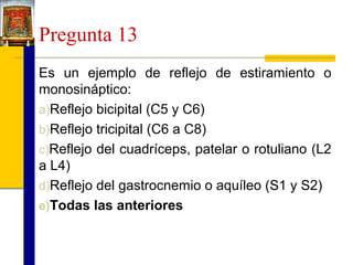 Pregunta 13
Es un ejemplo de reflejo de estiramiento o
monosináptico:
a)Reflejo bicipital (C5 y C6)
b)Reflejo tricipital (C6 a C8)
c)Reflejo del cuadríceps, patelar o rotuliano (L2
a L4)
d)Reflejo del gastrocnemio o aquíleo (S1 y S2)
e)Todas las anteriores

 