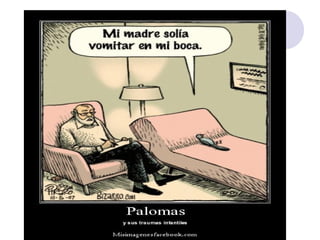 Médula espinal y meninges medulares