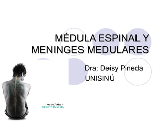 MÉDULA ESPINAL YMÉDULA ESPINAL Y
MENINGES MEDULARESMENINGES MEDULARES
Dra: Deisy Pineda
UNISINÚ
 