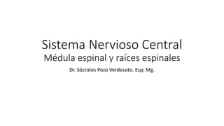 Sistema Nervioso Central
Médula espinal y raíces espinales
Dr. Sócrates Pozo Verdesoto. Esp; Mg.
 