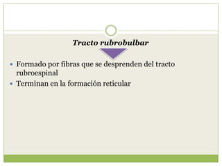 Tracto rubrobulbar
 Formado por fibras que se desprenden del tracto

rubroespinal
 Terminan en la formación reticular

 