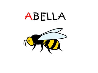 Mòdul articulació A