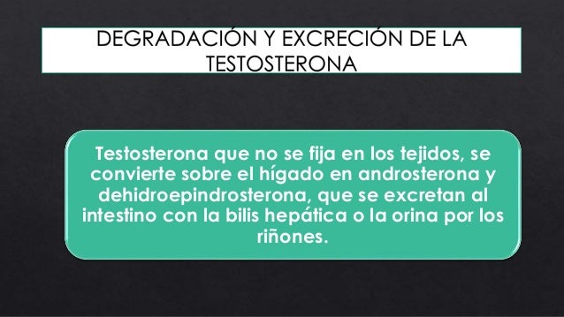 Chino la máscara para los cabellos con el jengibre