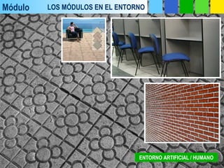 Módulo LOS MÓDULOS EN EL ENTORNO
ENTORNO ARTIFICIAL / HUMANO
 