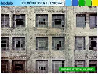 Módulo LOS MÓDULOS EN EL ENTORNO
ENTORNO ARTIFICIAL / HUMANO
 