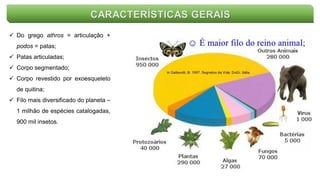 CARACTERÍSTICAS GERAIS
 Do grego athros = articulação +
podos = patas;
 Patas articuladas;
 Corpo segmentado;
 Corpo revestido por exoesqueleto
de quitina;
 Filo mais diversificado do planeta –
1 milhão de espécies catalogadas,
900 mil insetos.
 