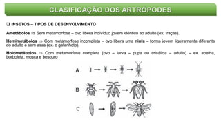 CLASIFICAÇÃO DOS ARTRÓPODES
 INSETOS – TIPOS DE DESENVOLVIMENTO
Ametábolos  Sem metamorfose – ovo libera indivíduo jovem idêntico ao adulto (ex. traças).
Hemimetábolos  Com metamorfose incompleta – ovo libera uma ninfa – forma jovem ligeiramente diferente
do adulto e sem asas (ex. o gafanhoto).
Holometábolos  Com metamorfose completa (ovo – larva – pupa ou crisálida – adulto) – ex. abelha,
borboleta, mosca e besouro
 