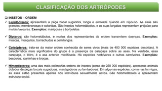 CLASIFICAÇÃO DOS ARTRÓPODES
 INSETOS – ORDEM
 Lepidópteros: apresentam a peça bucal sugadora, longa e enrolada quando em repouso. As asas são
grandes, membranosas e coloridas. São insetos holometábolos, e as suas largatas representam prejuízo para
muitas lavouras. Exemplos: mariposas e borboletas
 Dípteros: são holometábolos, e muitos dos representantes da ordem transmitem doenças. Exemplos:
moscas, mosquitos, borrachudos e pernilongos.
 Coleópteros: trata-se da maior ordem conhecida de seres vivos (mais de 400 000 espécies descritas). A
característica mais significativa do grupo é a presença da carapaça sobre as asas. Na verdade, essa
carapaça, o élitro, é a asa anterior modificada. Há espécies herbívoras e outras carnívoras. Exemplos:
besouros, joaninhas e brocas.
 Himenópteros: uma das mais polimorfas ordens de insetos (cerca de 250 000 espécies), apresenta animais
dotados de peças bucais sugadoras, mastigadoras ou lambedoras. Em algumas espécies, como nas formigas,
as asas estão presentes apenas nos indivíduos sexualmente ativos. São holometábolos e apresentam
estrutura social.
 