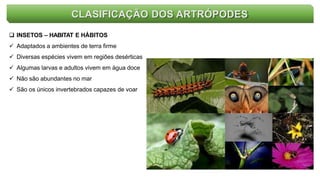CLASIFICAÇÃO DOS ARTRÓPODES
 INSETOS – HABITAT E HÁBITOS
 Adaptados a ambientes de terra firme
 Diversas espécies vivem em regiões desérticas
 Algumas larvas e adultos vivem em água doce
 Não são abundantes no mar
 São os únicos invertebrados capazes de voar
 