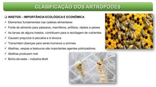 CLASIFICAÇÃO DOS ARTRÓPODES
 INSETOS – IMPORTÂNCIA ECOLÓGICA E ECONÔMICA
 Elementos fundamentais nas cadeias alimentares
 Fonte de alimento para pássaros, mamíferos, anfíbios, répteis e peixes
 As larvas de alguns insetos, contribuem para a reciclagem de nutrientes
 Causam prejuízos à pecuária e à lavoura
 Transmitem doenças para seres humanos e animais
 Abelhas, vespas e besouros são importantes agentes polinizadores
 Abelhas produzem mel
 Bicho-da-seda – indústria têxtil
 