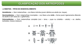 CLASIFICAÇÃO DOS ARTRÓPODES
 INSETOS – TIPOS DE DESENVOLVIMENTO
Ametábolos  Sem metamorfose – ovo libera indivíduo jovem idêntico ao adulto (ex. traças).
Hemimetábolos  Com metamorfose incompleta – ovo libera uma ninfa – forma jovem ligeiramente diferente
do adulto e sem asas (ex. o gafanhoto).
Holometábolos  Com metamorfose completa (ovo – larva – pupa ou crisálida – adulto) – ex. abelha,
borboleta, mosca e besouro
 