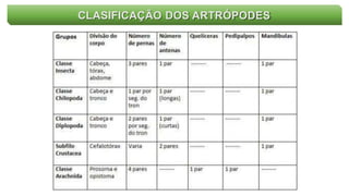 CLASIFICAÇÃO DOS ARTRÓPODES
 